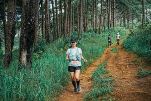 BIB: 
                            <button type="button" onclick="openModal(25677493)" class="btn btn-primary btn-sm float-right btn-popup" data-toggle="modal" data-target=".modal-high-quality">
                        <i class="fas fa-shopping-cart"></i> Add to Cart
                    </button>
                                            <button type="button" onclick="isThisMe(25677493, true)" class="btn btn-success btn-sm float-right btn-popup btn-isme hidden" data-toggle="tooltip" data-placement="bottom" title="นี่คือรูปของคุณใช่ไหม คลิกที่นี่เพื่อเอาเข้าอัลบั้ม">
                        <i class="fas fa-plus"></i> Add to album
                    </button>
                    <button type="button" onclick="isThisMe(25677493, false)" class="btn btn-warning btn-sm float-right btn-popup btn-isnotme hidden">
                        <i class="fas fa-ban"></i> Remove from album
                    </button>